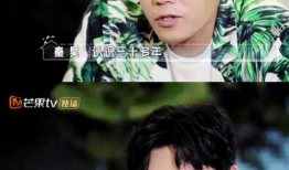 女主娱乐圈吃瓜小说,女主的吃瓜日常与逆袭之路